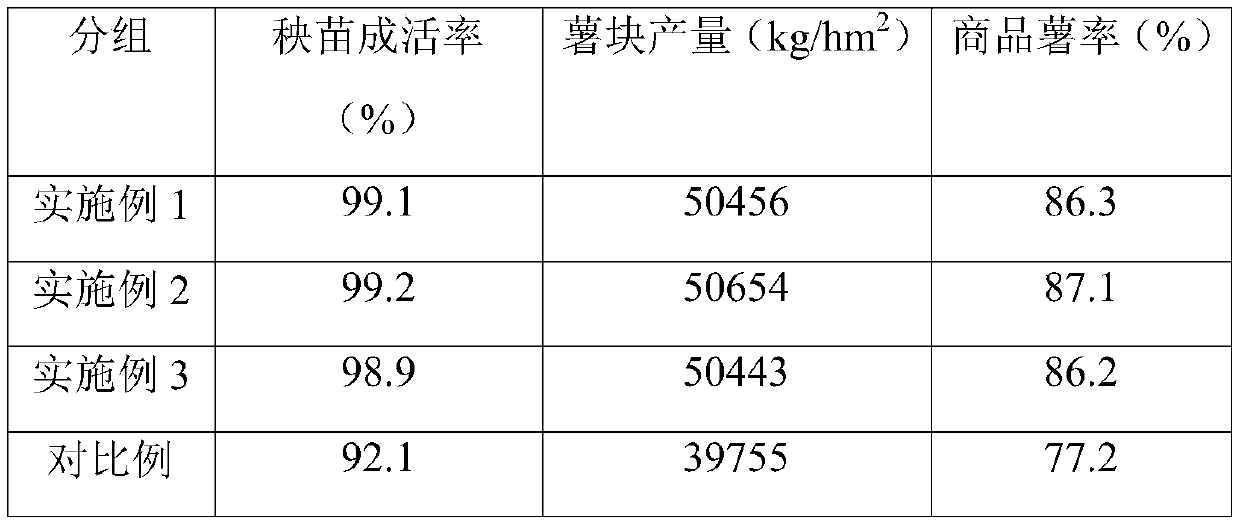 A kind of pollution-free cultivation method of fruit type sweet potato