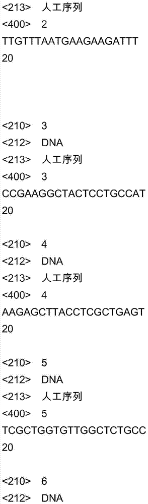 Aquaporin gene promoter for chorispora bungeana and cloning method thereof