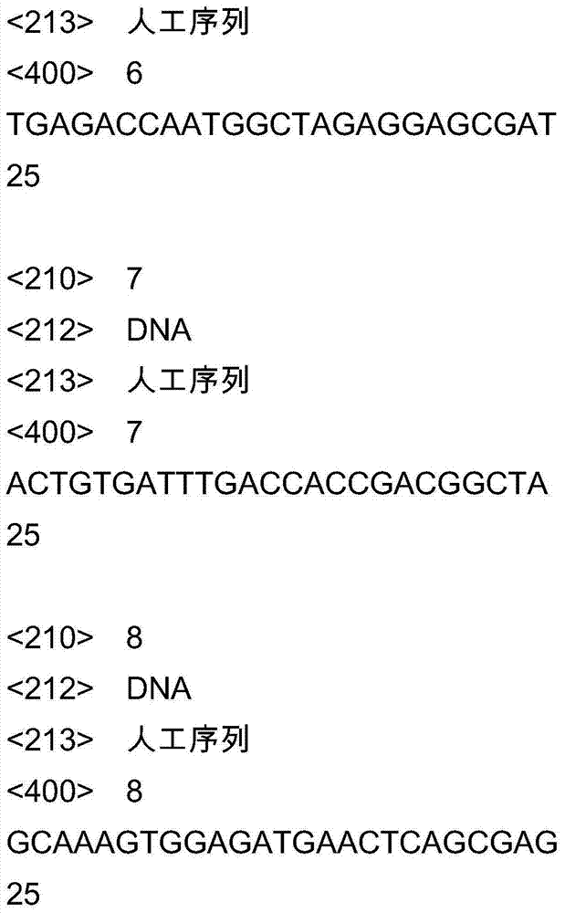 Aquaporin gene promoter for chorispora bungeana and cloning method thereof