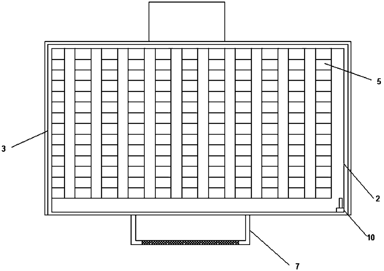 Chinese angelica seedling breeding box for traditional Chinese medicine planting