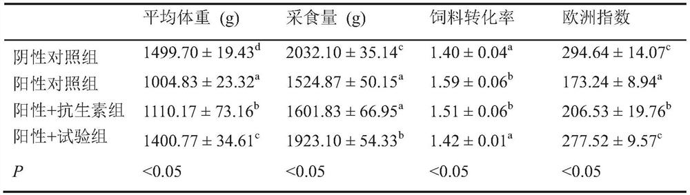 Micro-ecological preparation for treating necrotic enteritis of broiler chicken and application of micro-ecological preparation