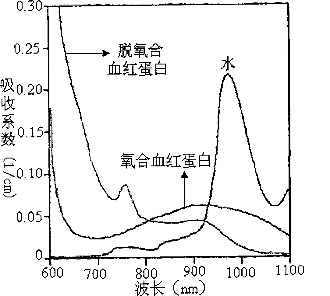 Target detection device based on exponential photon density dynamic adjustment