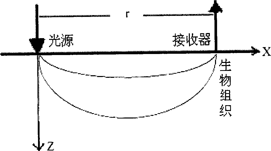 Target detection device based on exponential photon density dynamic adjustment