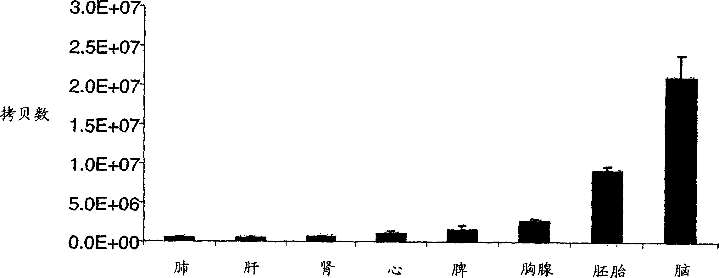 Absolute quantitation of nucleic acids by RT-PCR