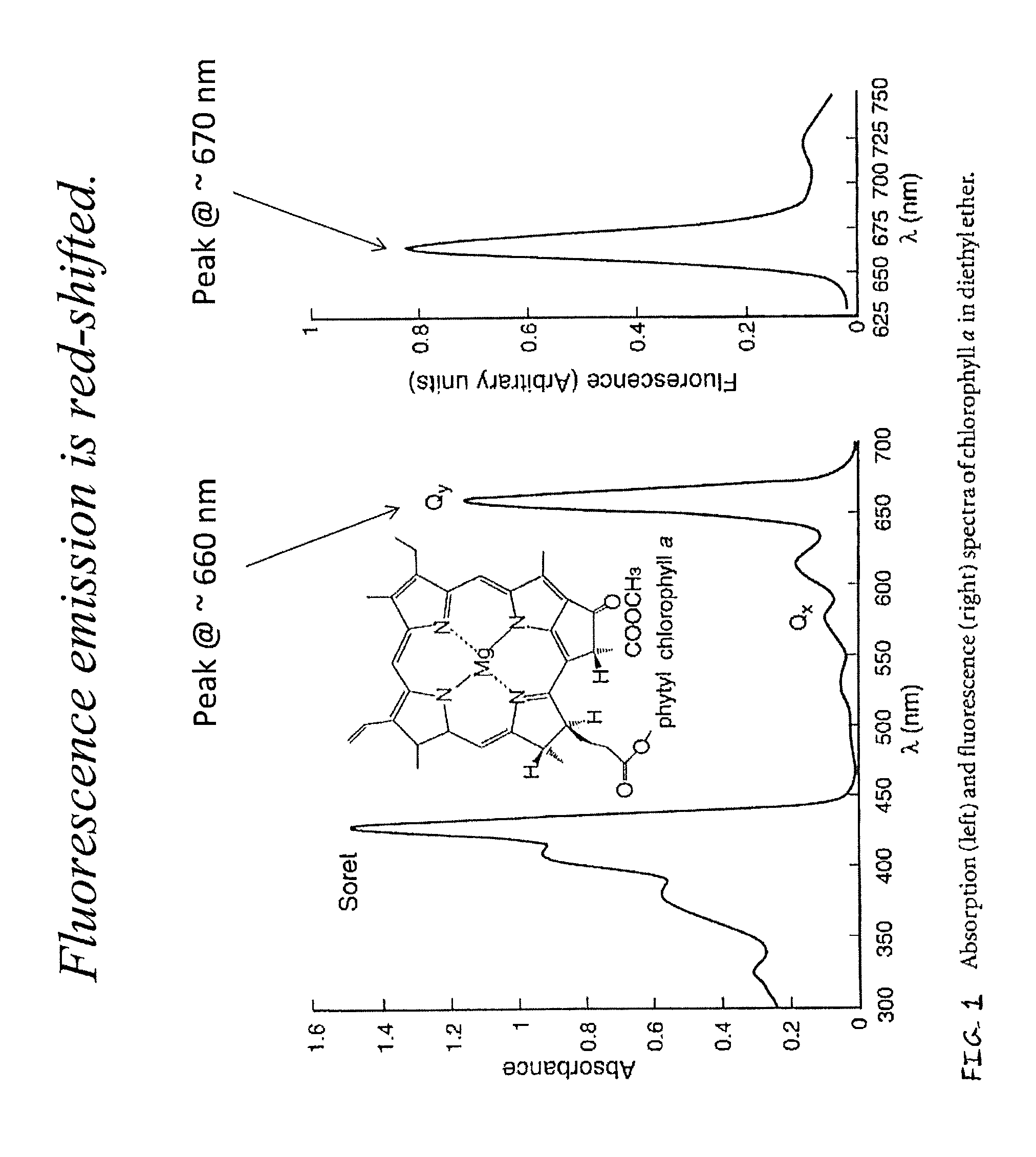 Systems and methods for estimating photosynthetic carbon assimlation