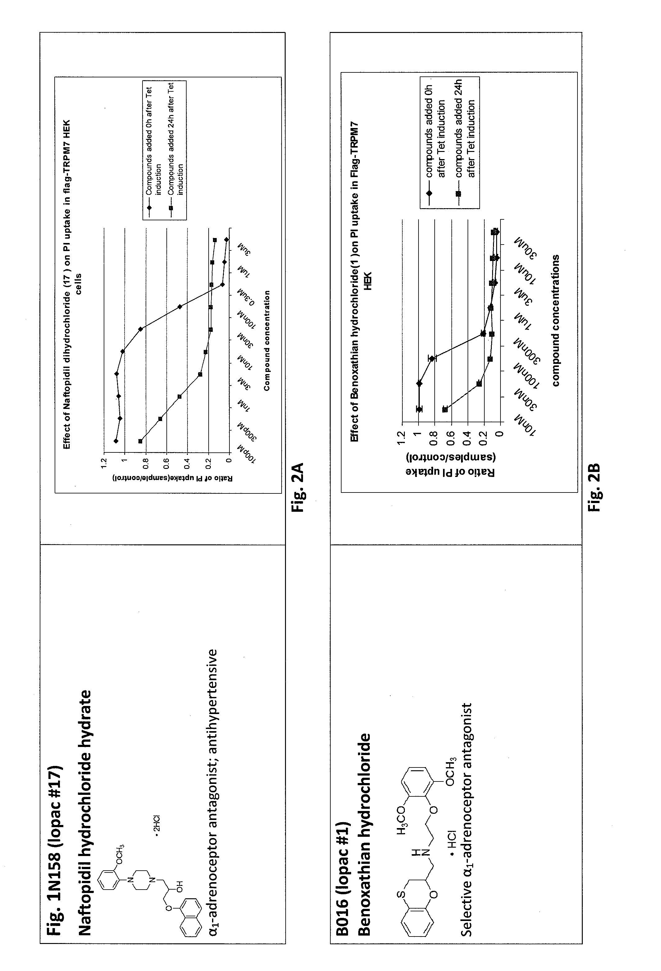 Agents and methods for treating ischemic and other diseases