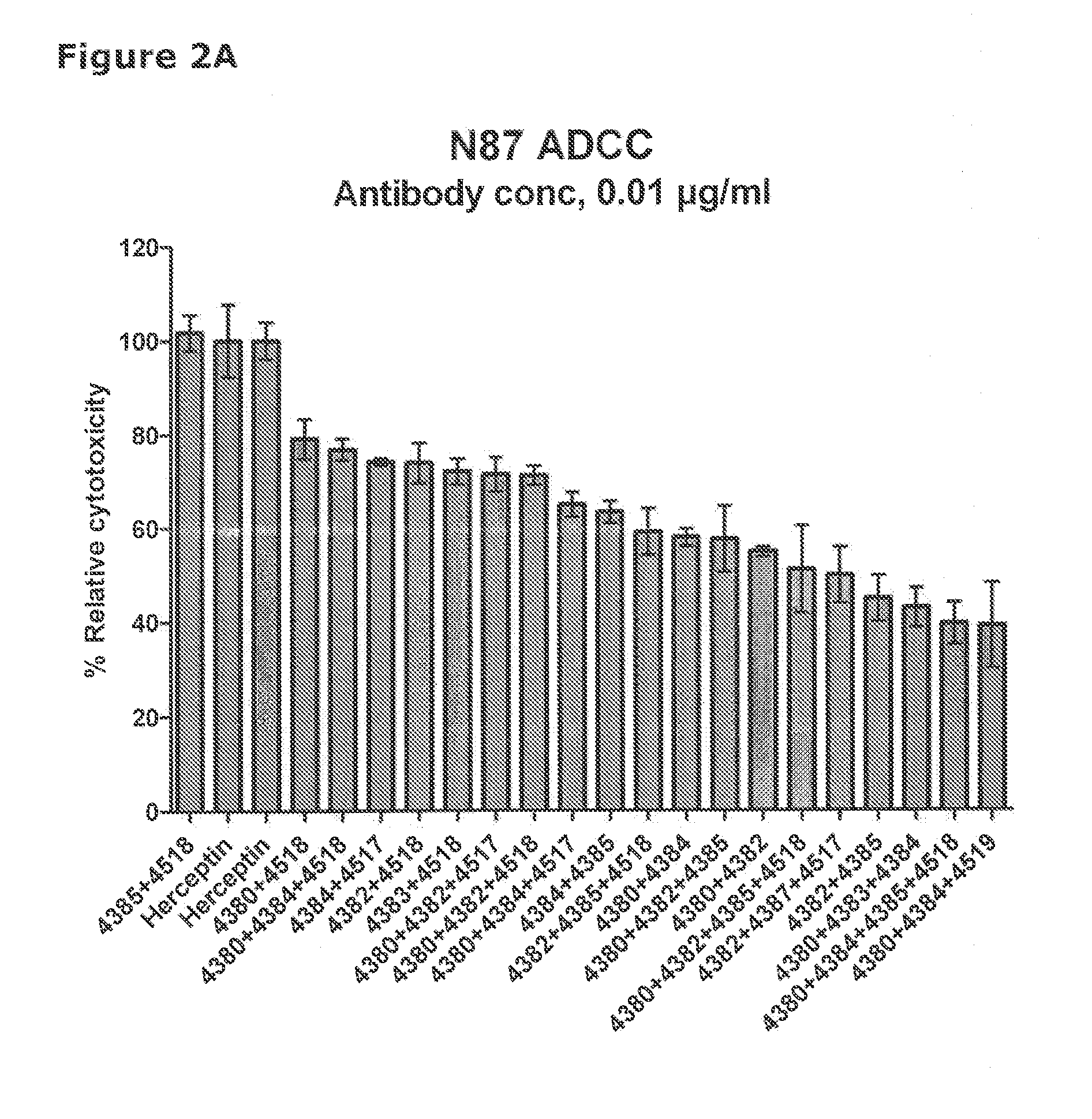 Anti-her2 antibodies and compositions