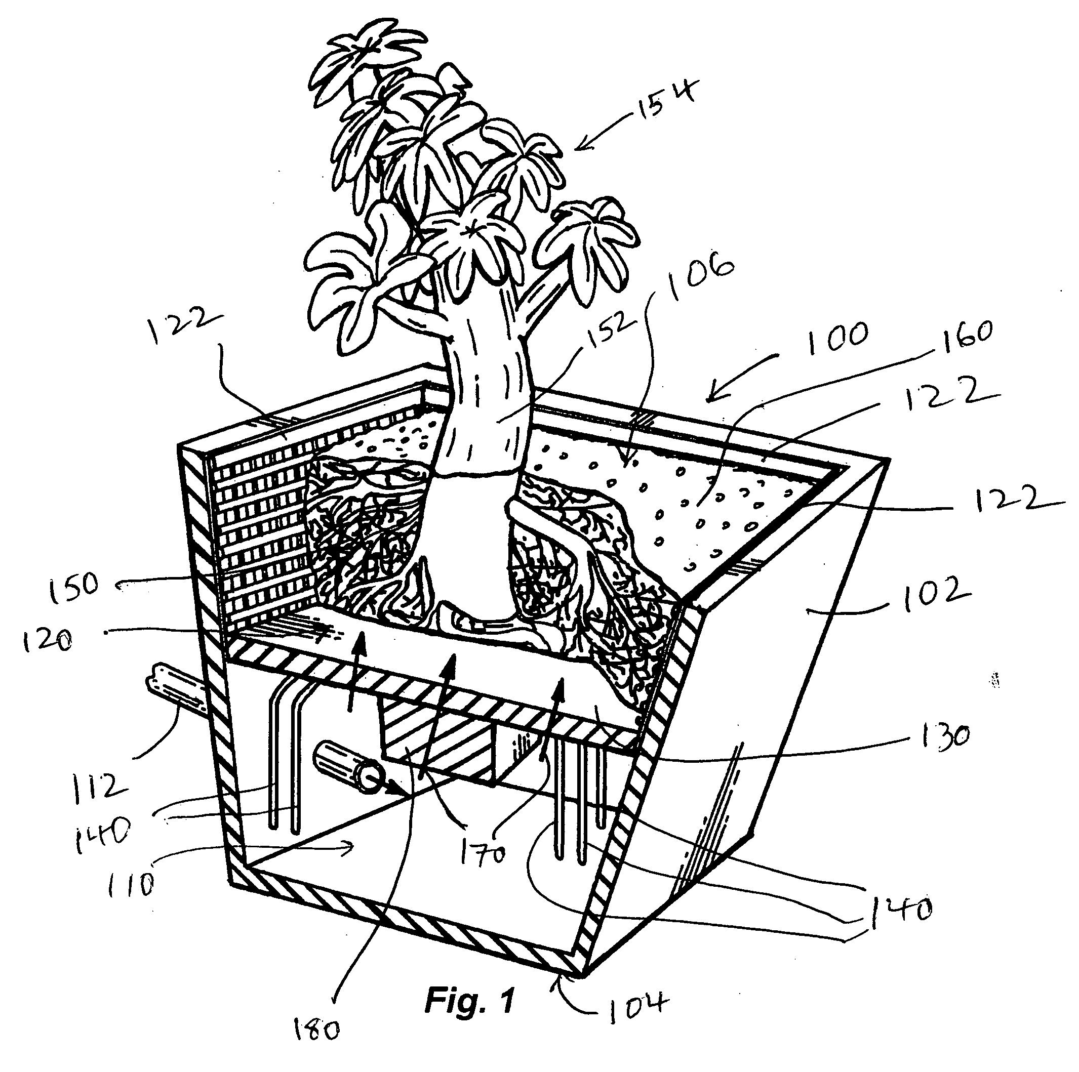 System and method for promoting growth of multiple root systems in a hydroponic environment