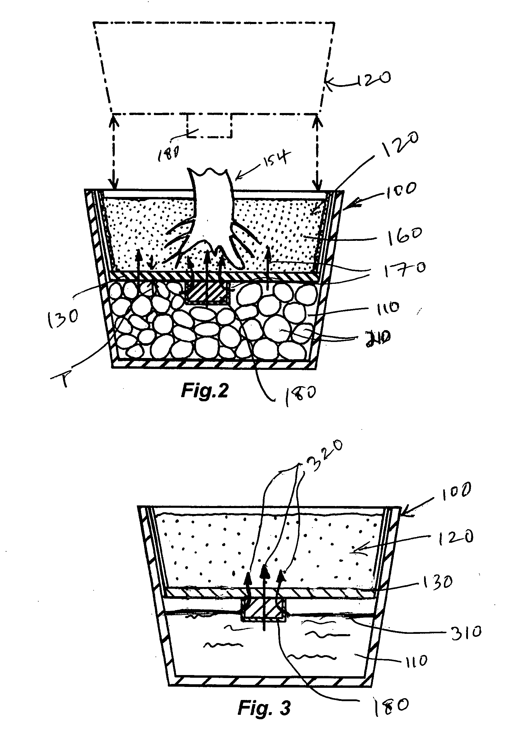 System and method for promoting growth of multiple root systems in a hydroponic environment