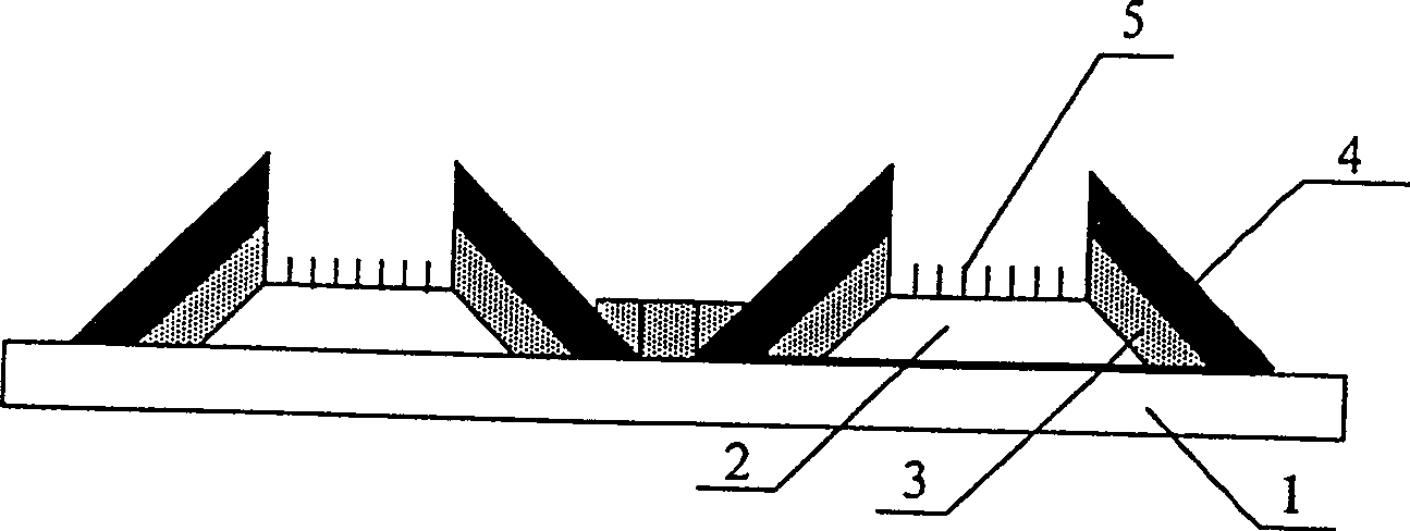 Tripolar field emission display of bridge grating structure and process for preparing same