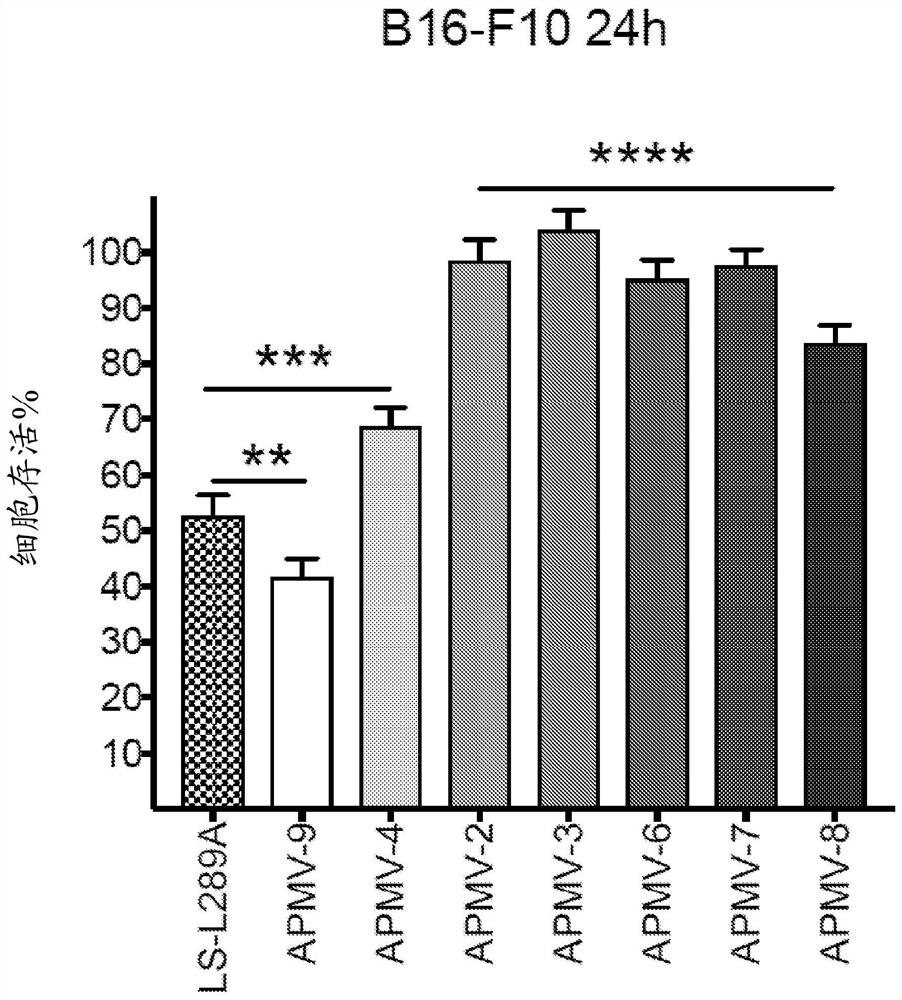 Apmv and uses thereof for treatment of cancer