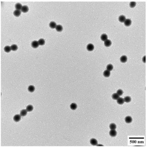 Preparation method of micro-hydrogel having high selective detection activity to heavy metal lead