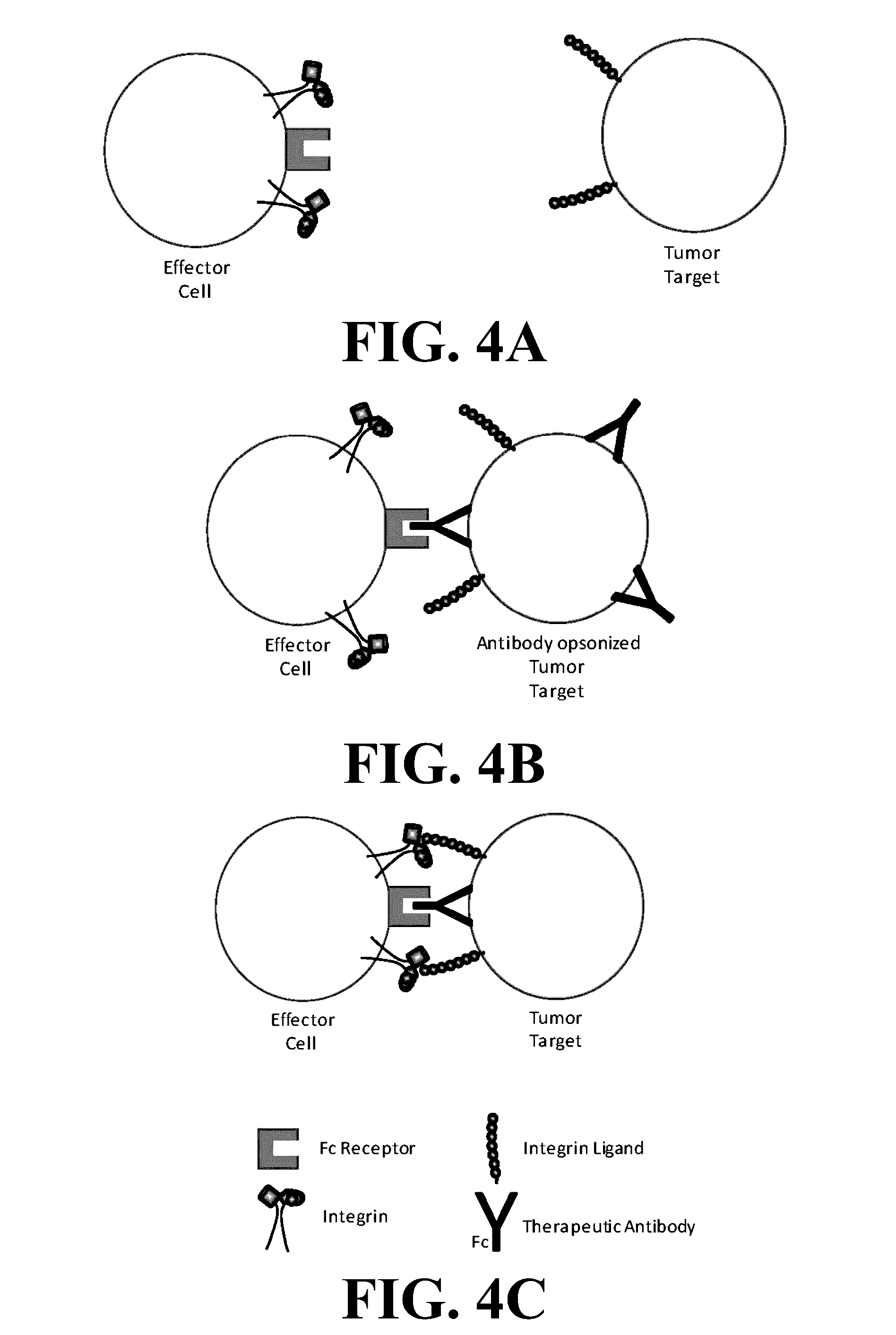Novel compositions and methods for immunotherapies comprising small molecule integrin receptor-ligand agonist adjuvants