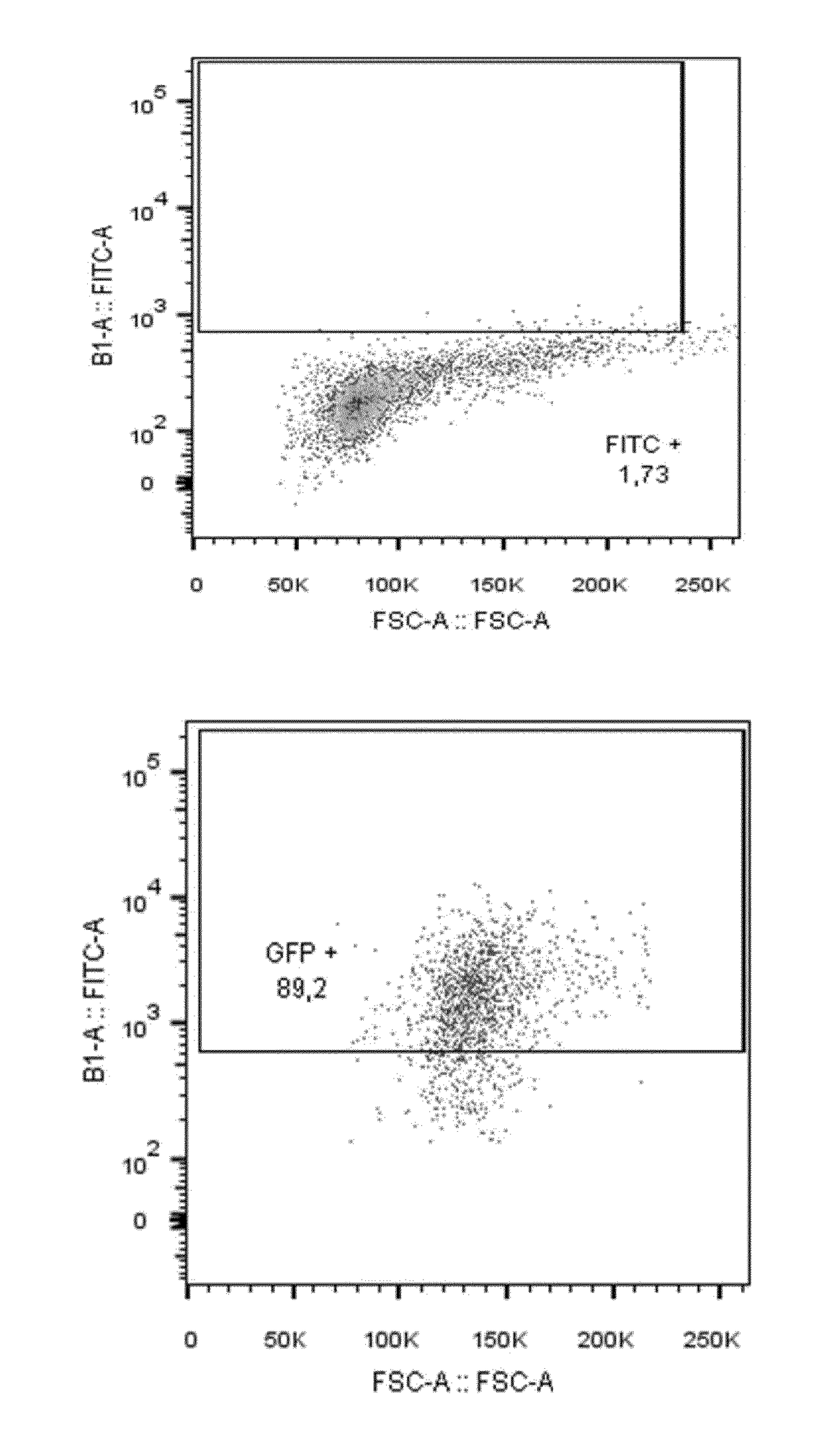 Methods for improving functionality in nk cell by gene inactivation using specific endonuclease