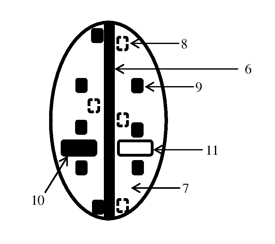 Apparatus for testing distal colonic and anorectal function