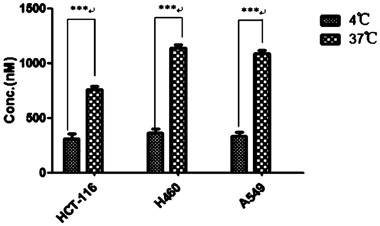 Prodrugs Based on Gemcitabine Structure and Their Applications