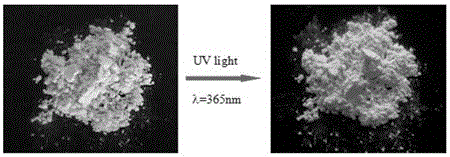Method for preparation of water-soluble luminous graphite-phase carbon nitride nano kelp
