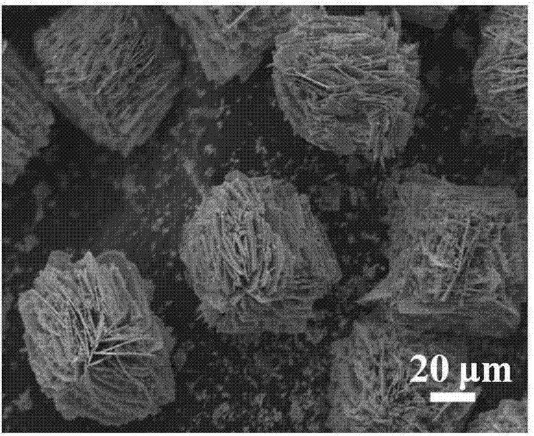 ZnO/SnO2 nano composite gas-sensitive material with flower-shaped grading structure and preparation method of material