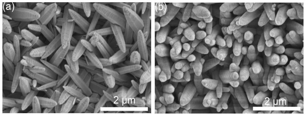 Nano-silver modified titanium oxide nanotube array, preparation method and application thereof