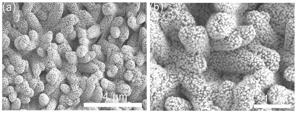 Nano-silver modified titanium oxide nanotube array, preparation method and application thereof