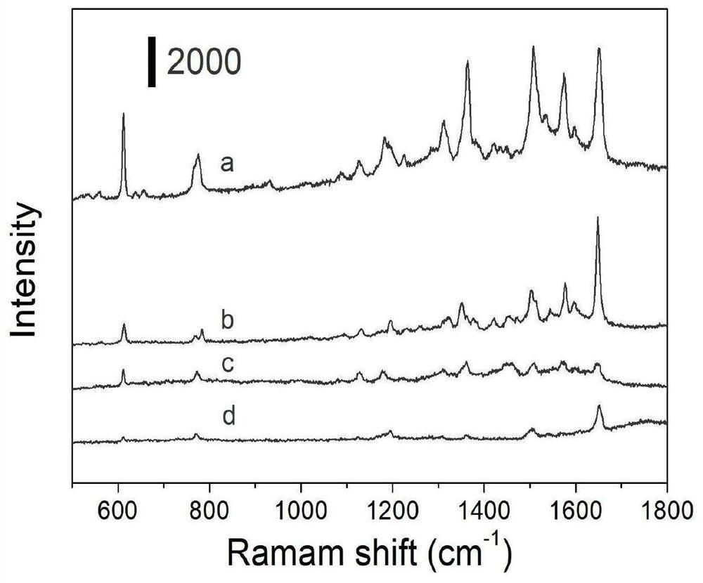 Nano-silver modified titanium oxide nanotube array, preparation method and application thereof