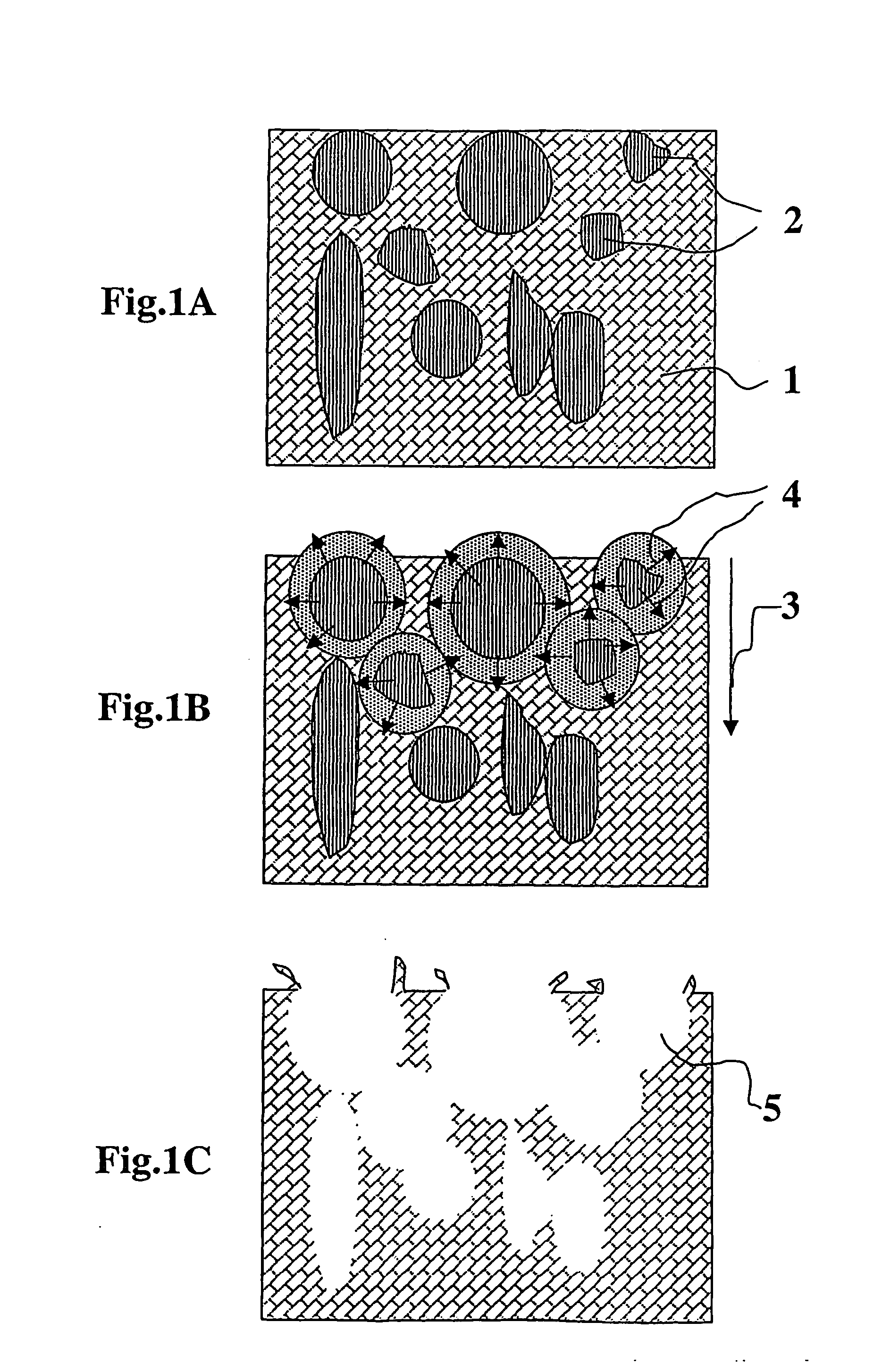 Composite for attaching, growing and/or repairing of living tissues and use of said composite