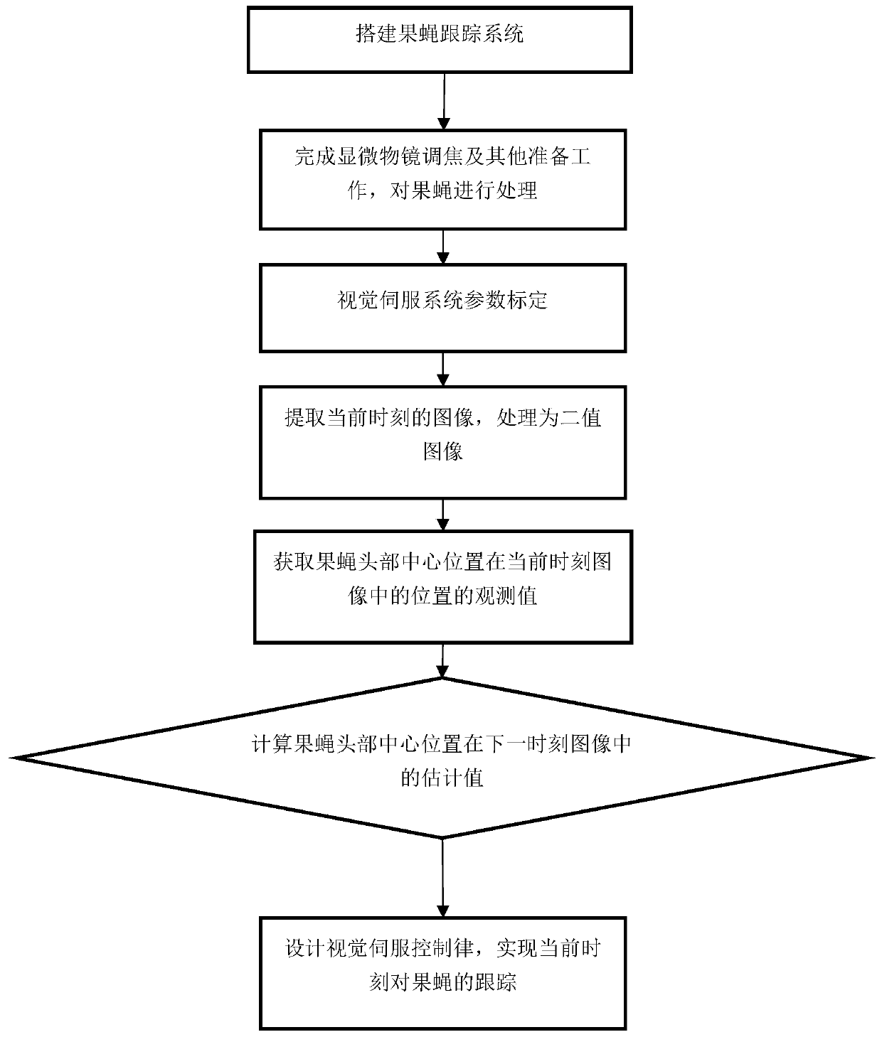 Drosophila tracking method and system based on visual servo