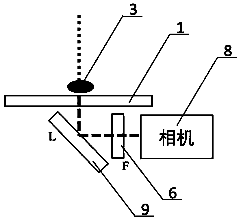 Drosophila tracking method and system based on visual servo