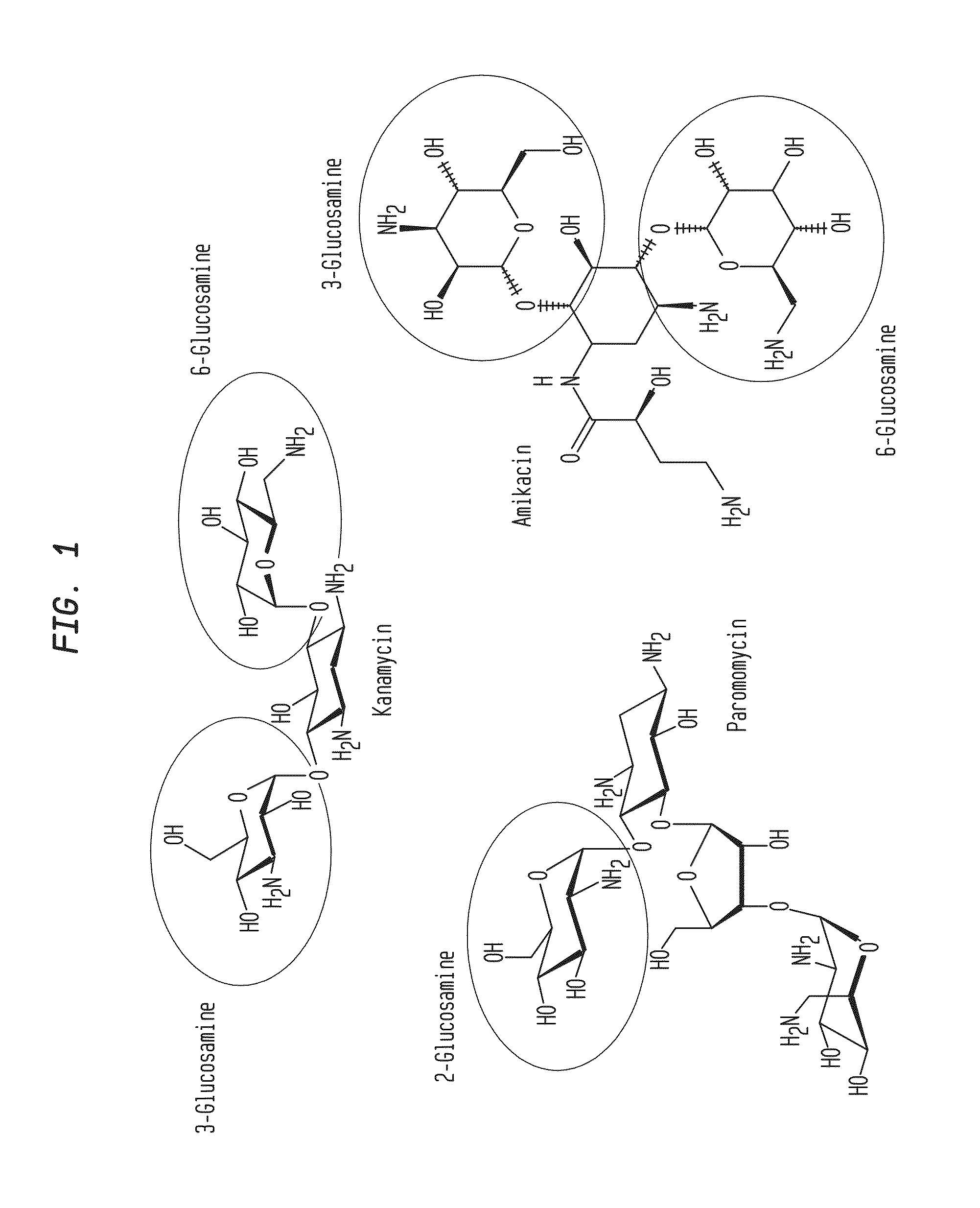 Compositions and methods for the transfer of a hexosamine to a modified nucleotide in a nucleic acid