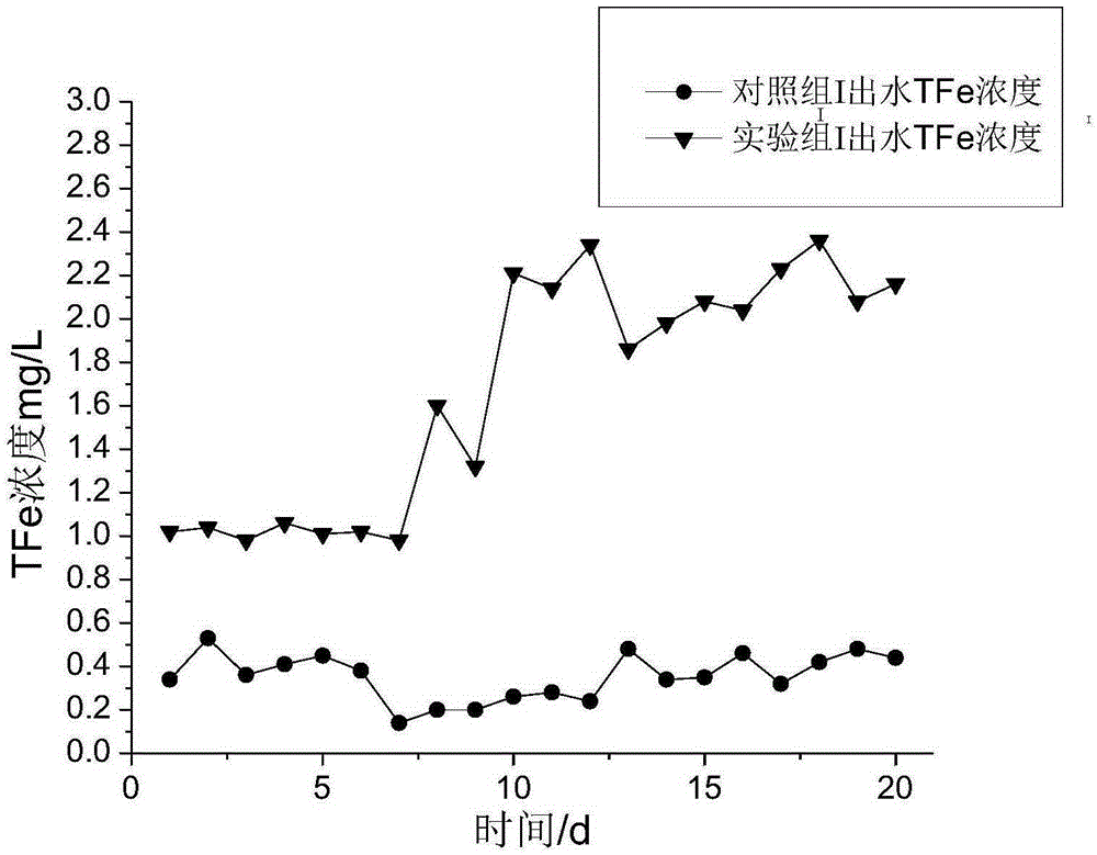 Method for removing phosphorous based on high-efficiency promotion of spongy iron corrosion in process of nitrogen removal by denitrification