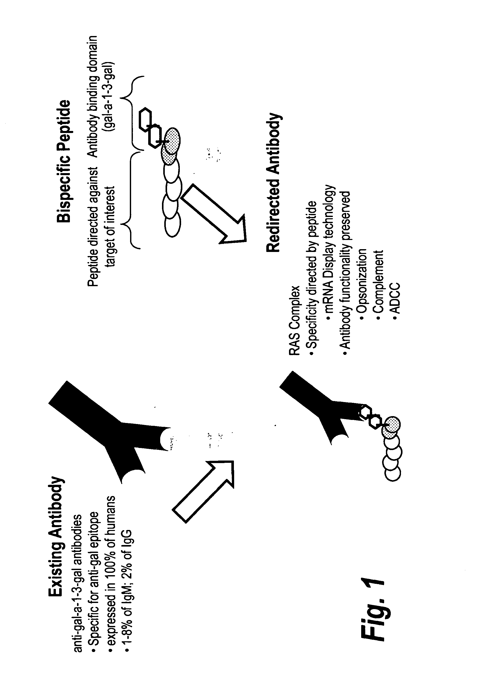 High affinity adaptor molecules for redirecting antibody specifity