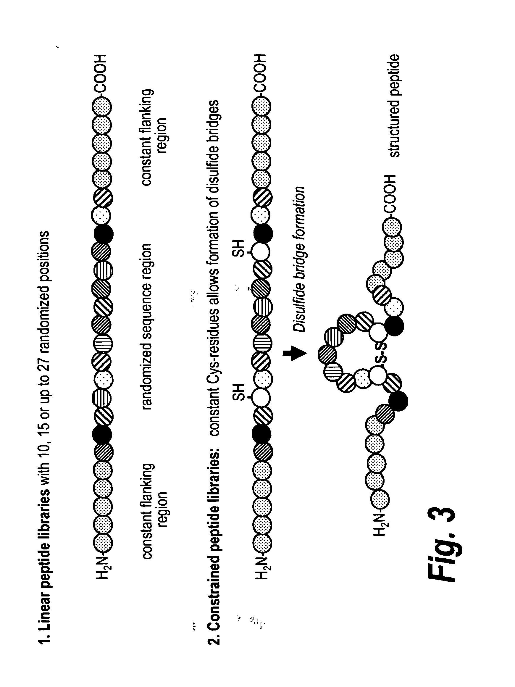 High affinity adaptor molecules for redirecting antibody specifity