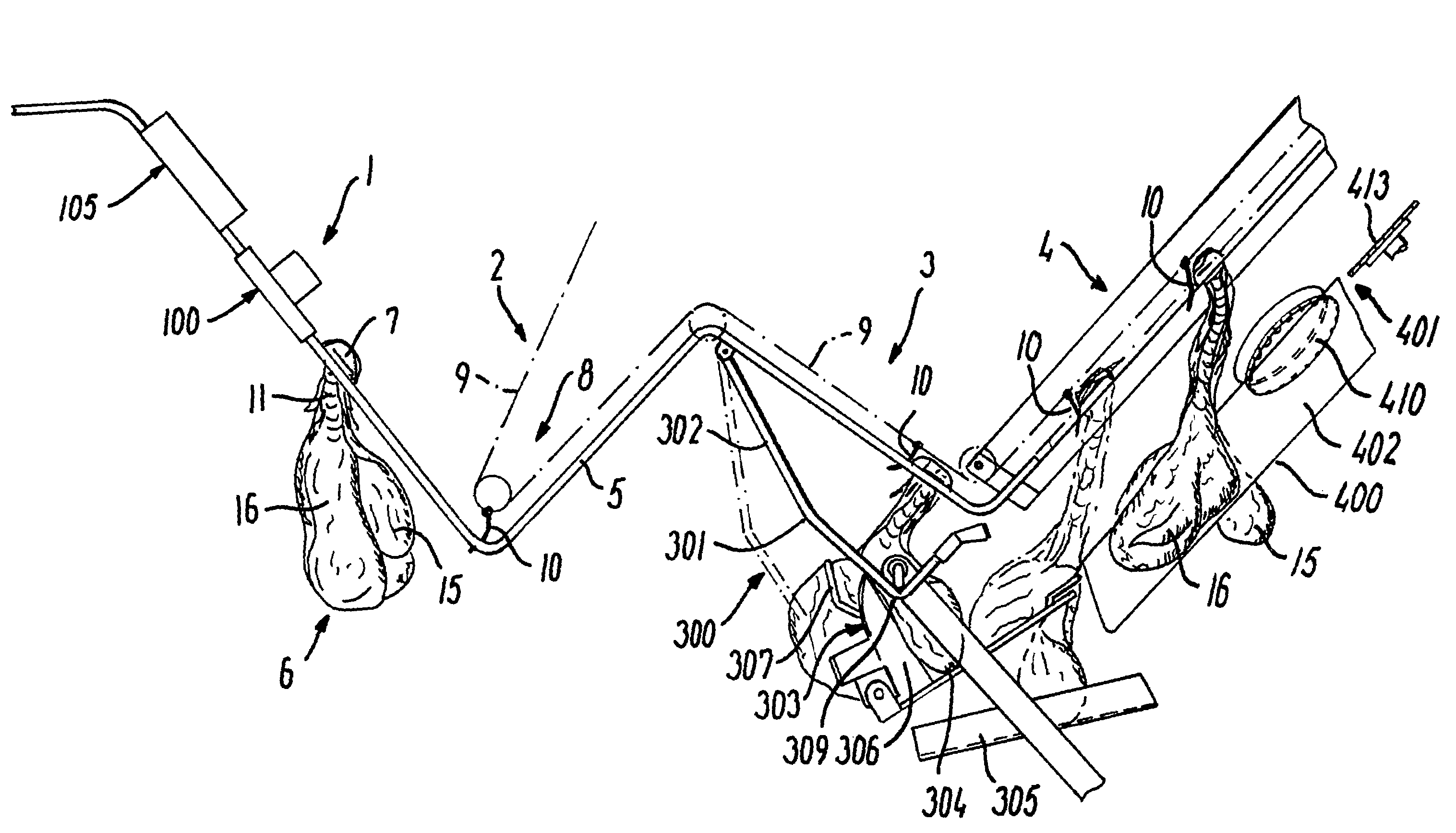 Apparatus and a method for automatic cutting of organs from a plucks set from a carcass