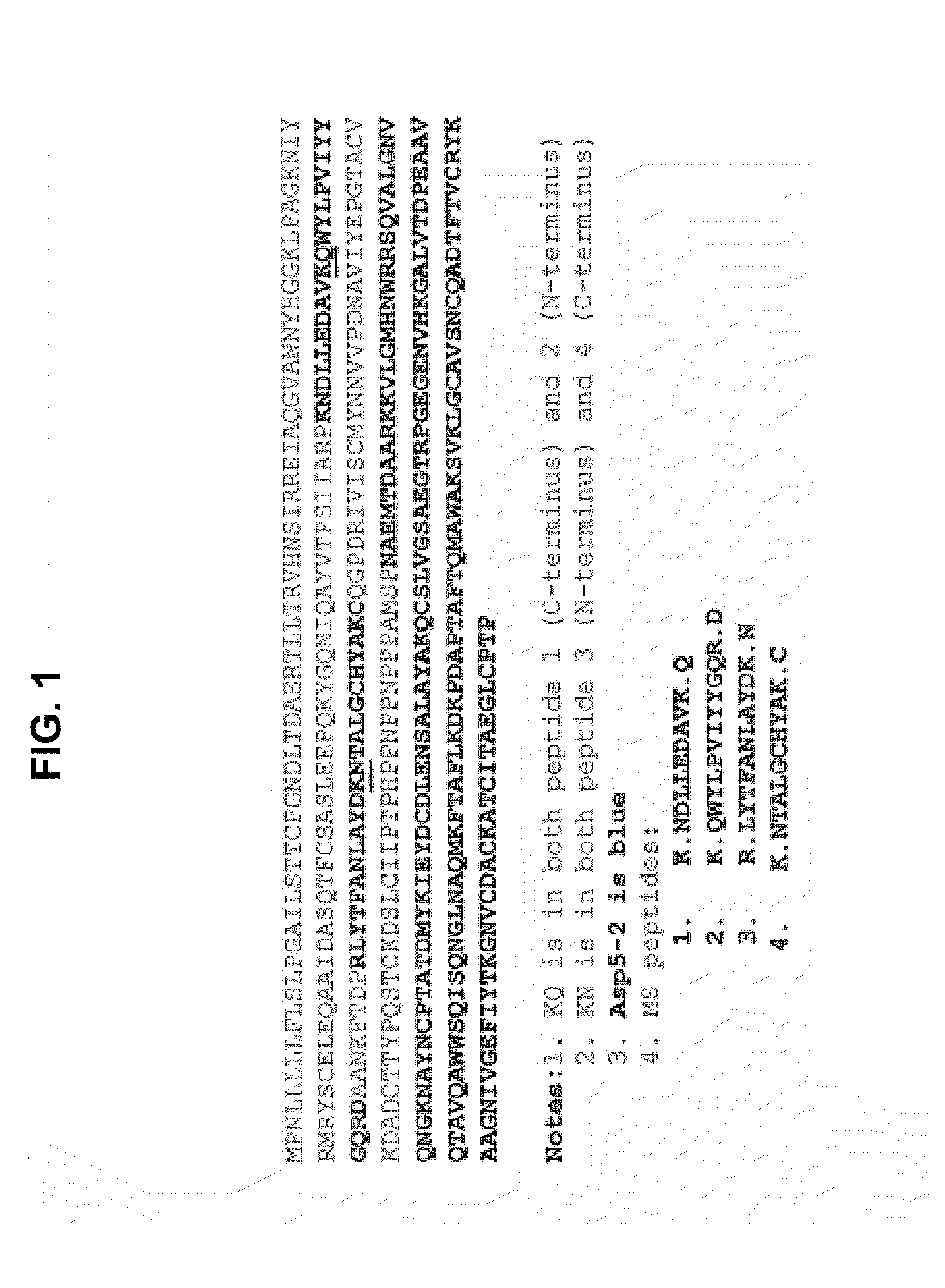 Compositions, Devices, Kits and Methods for Detecting Hookworm