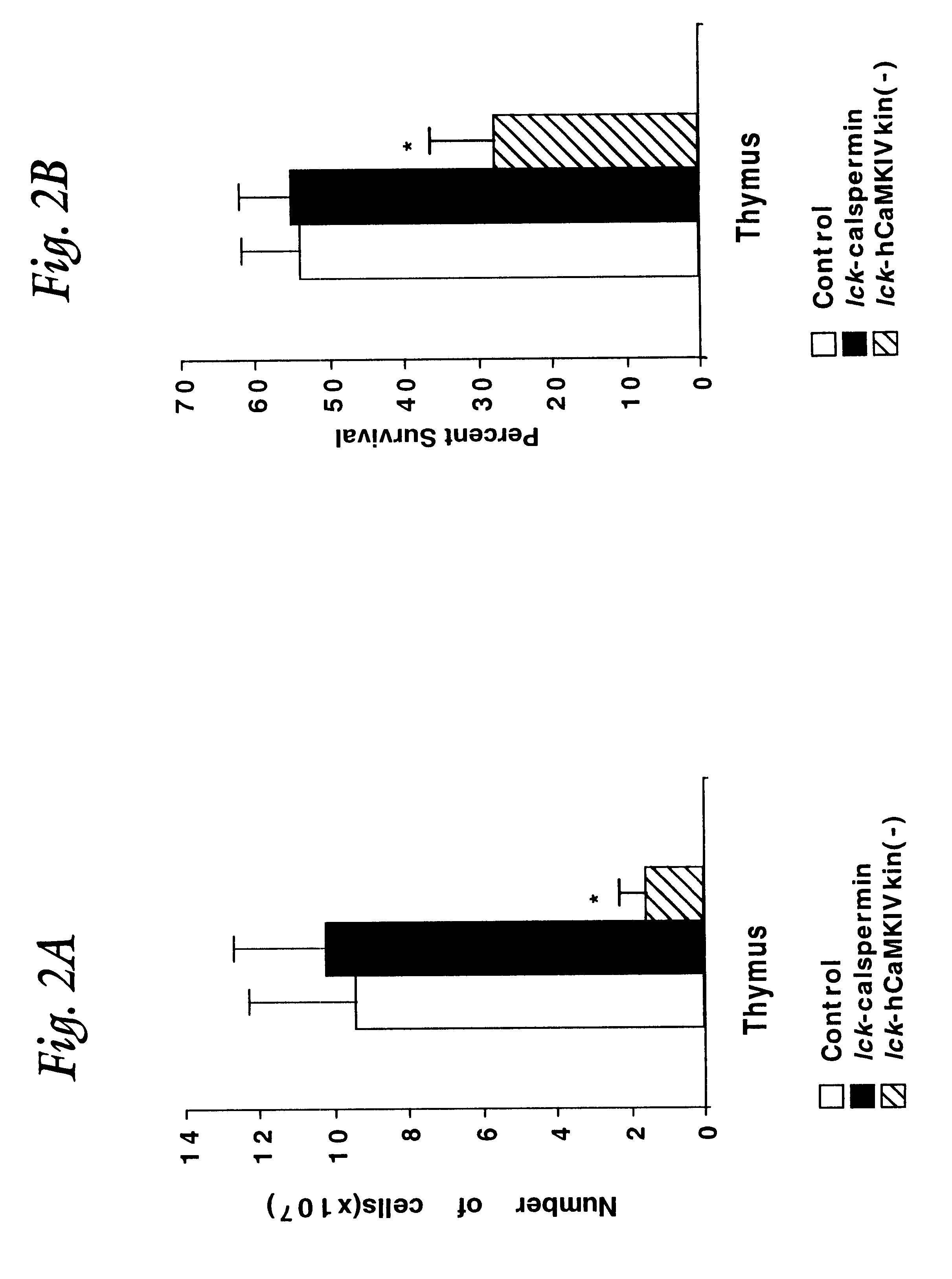 Method for screening a test compound for potential as an immunosuppressive drug candidate