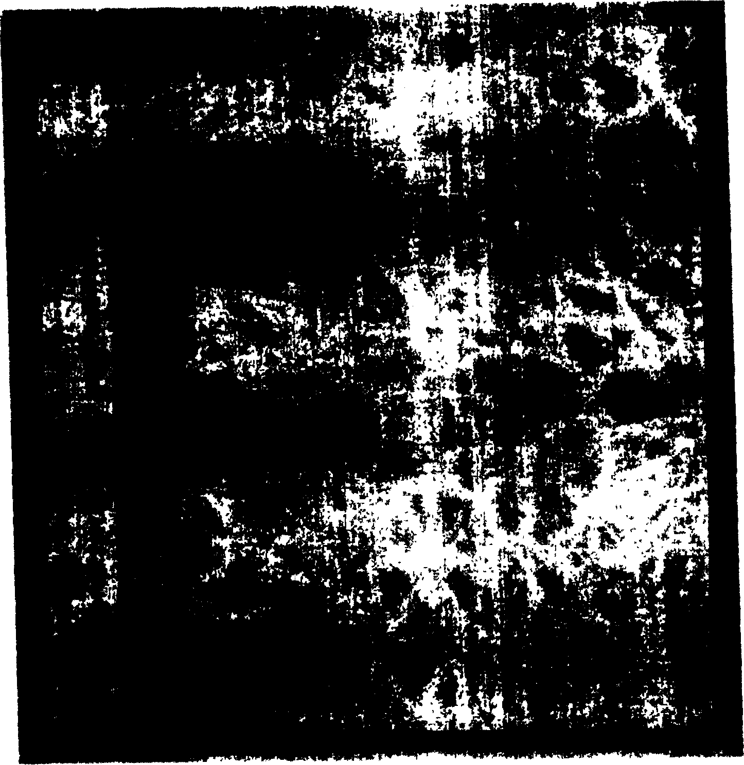 Preparation method of creature dross grain emulated crystallite glass composite plate