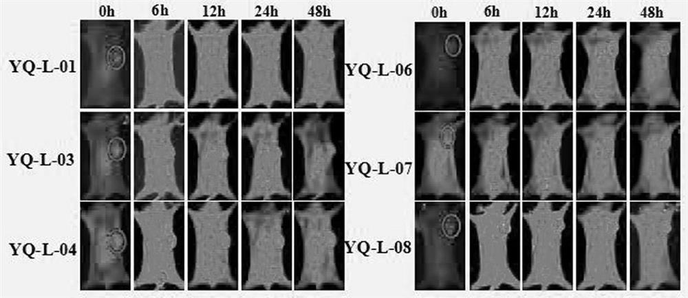 Near-infrared fluorescent probe for specifically targeting tumor as well as synthesis method and application of near-infrared fluorescent probe