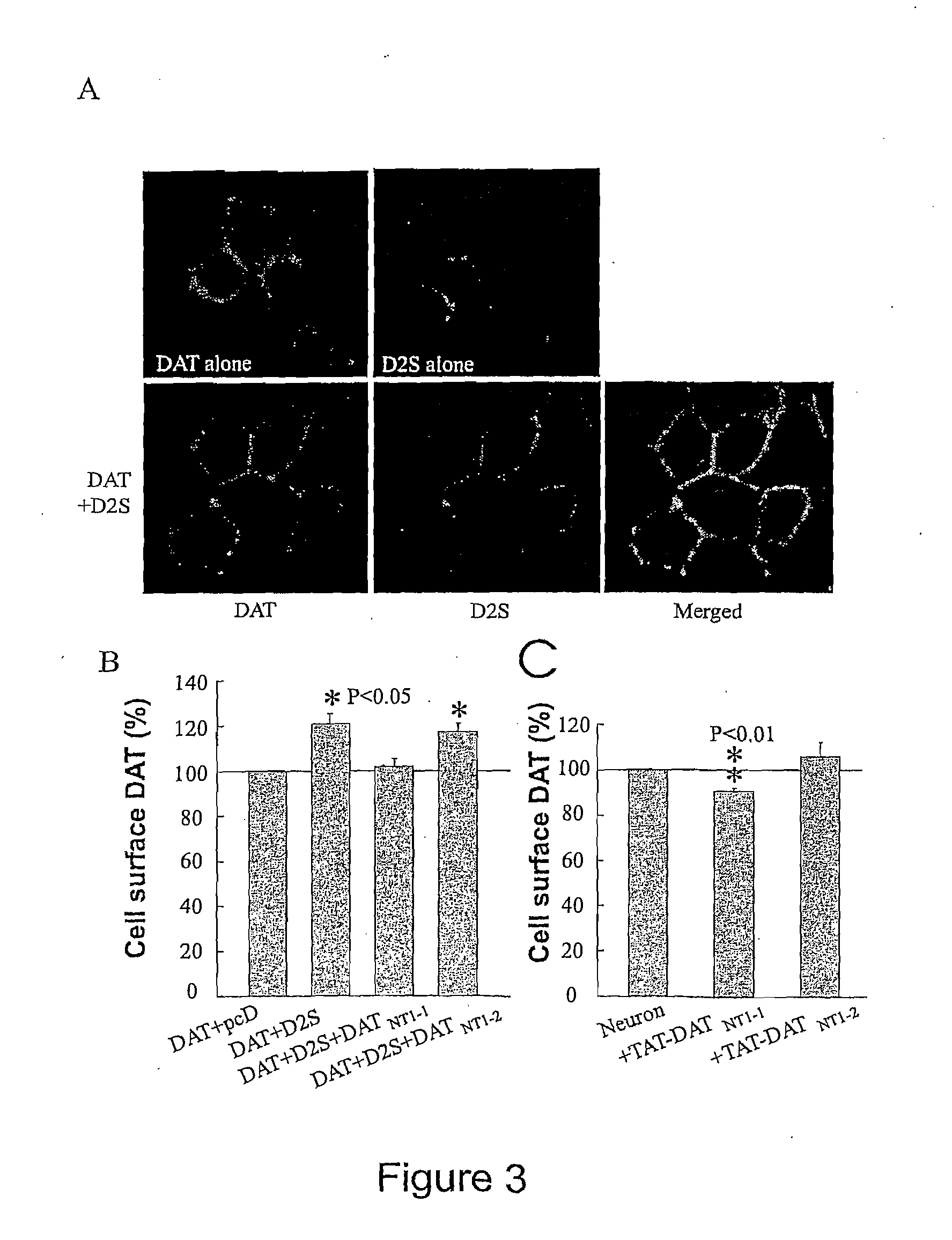 Compositions and methods for modulating dopamine neurotransmission