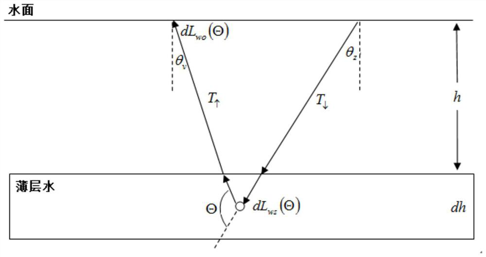 Remote sensing inversion method and system for concentration of photoactive heavy metal in water body