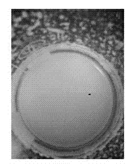 Modified TiO2 loaded photocatalytic ceramsite and preparation method thereof