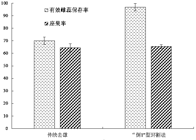 Method for improving Vaccinium spp. hybridization emasculation efficiency