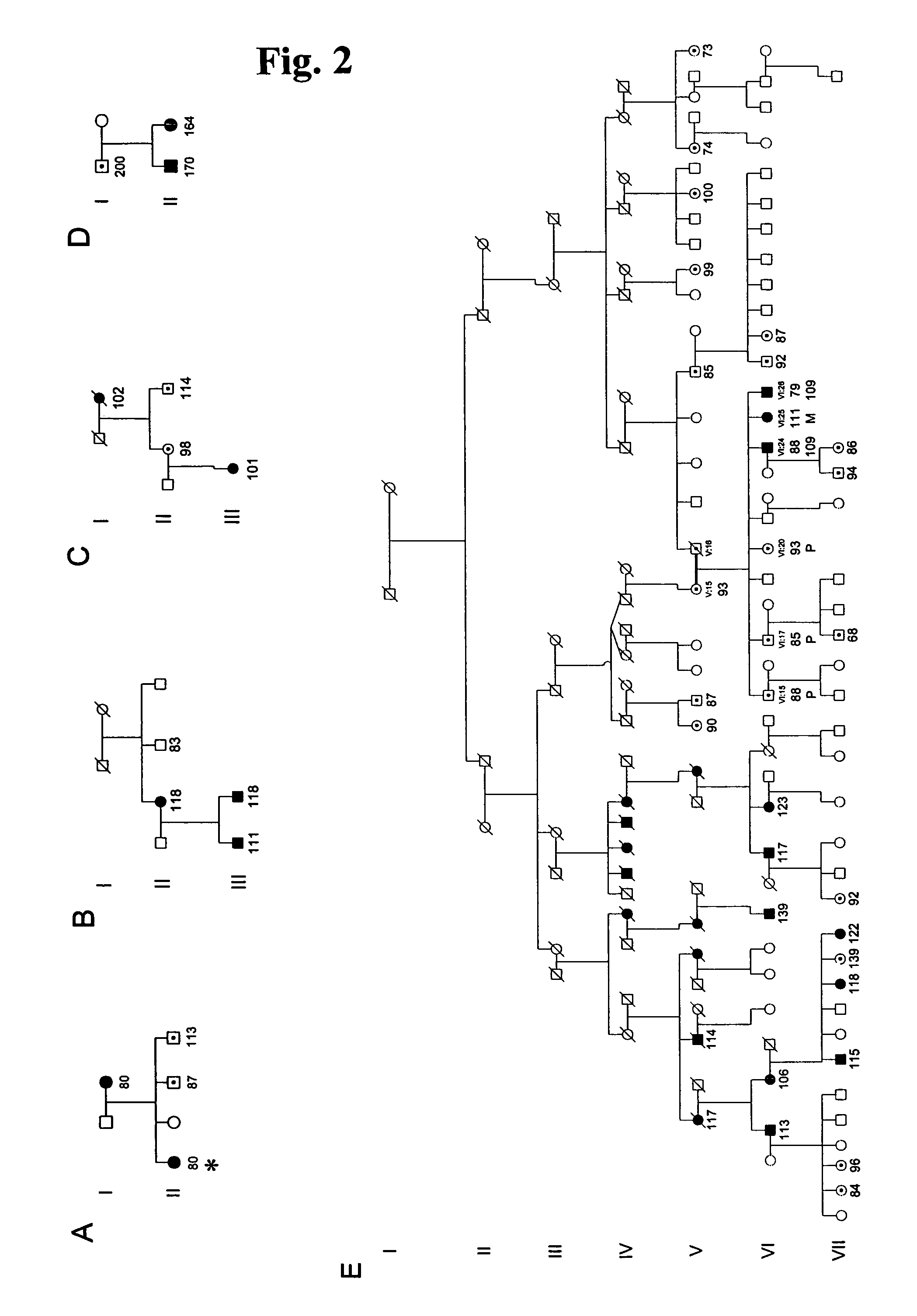 Spinocerebellar ataxia type 8 and methods of detection