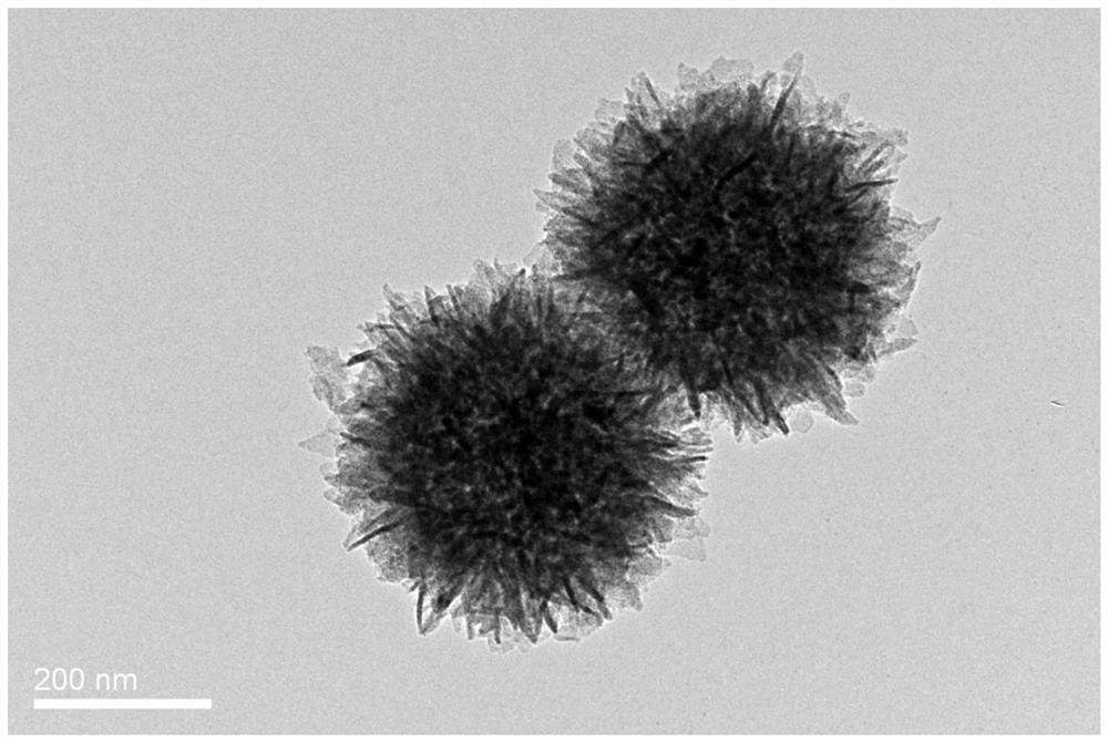 Tremella-shaped nanosphere material assembled by inlaying molybdenum dioxide nanoparticles into carbon nanosheet, preparation of tremella-shaped nanosphere material and application of tremella-shaped nanosphere material in sodium ion battery