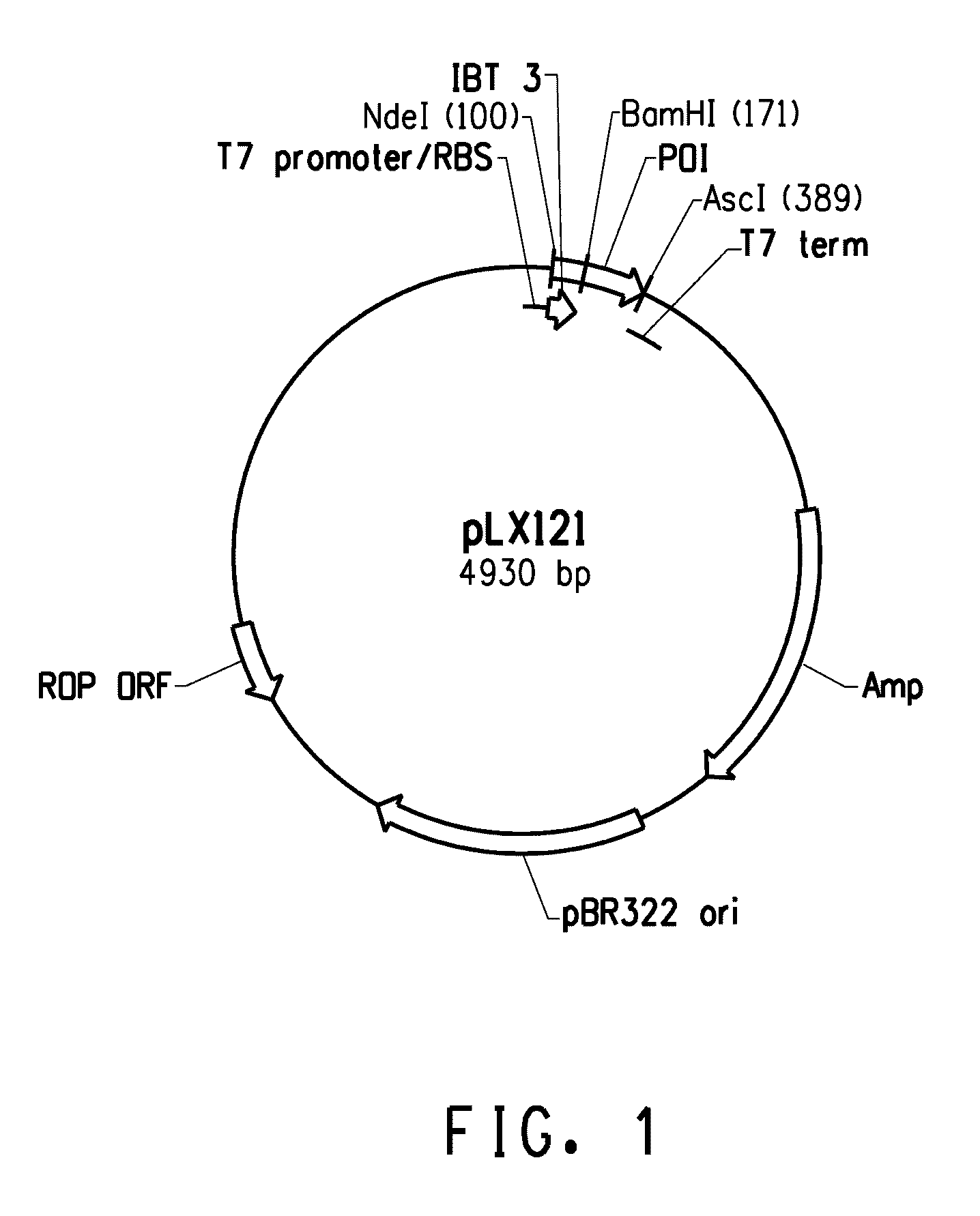 Recombinant peptide production using a cross-linkable solubility tag