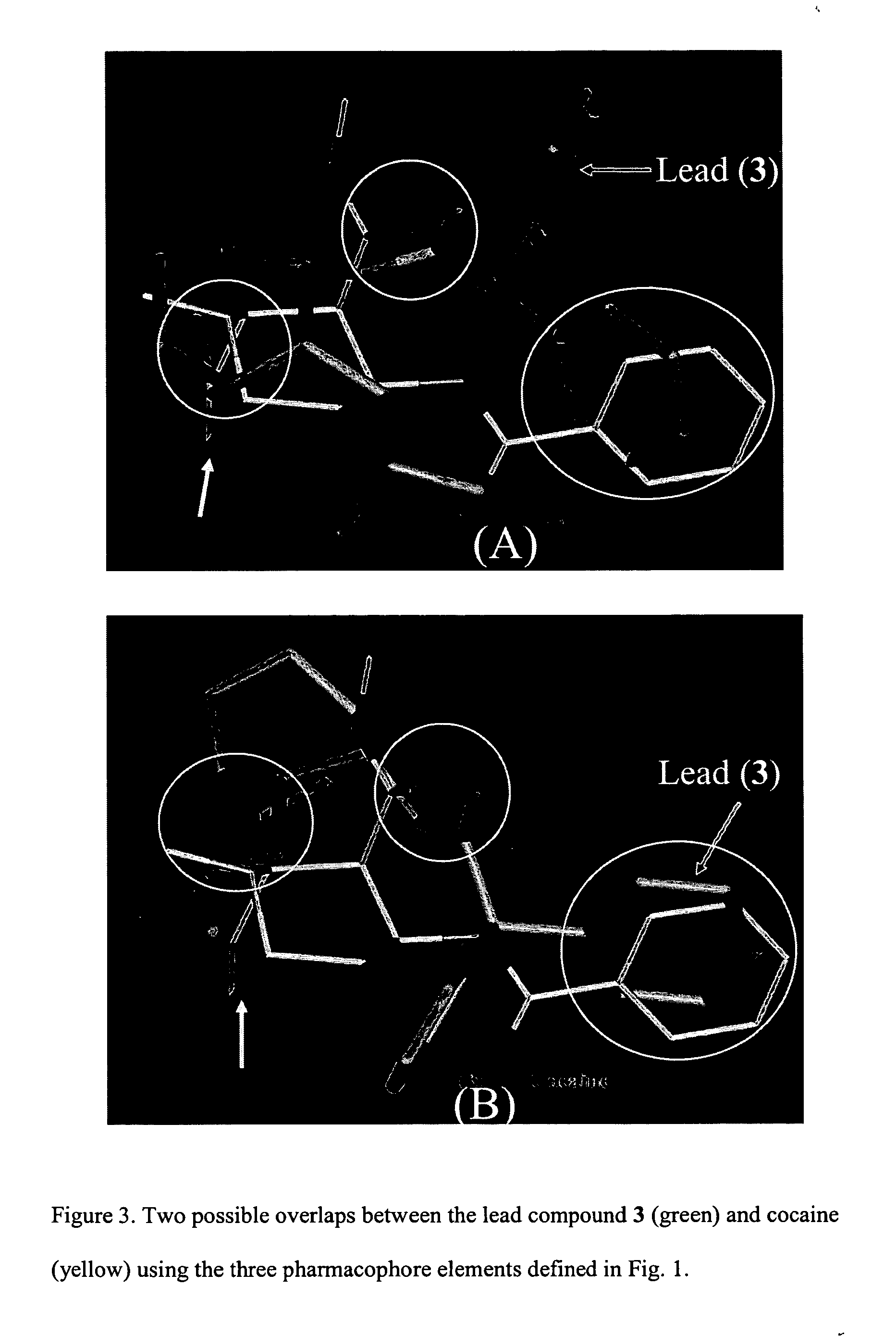 2-3-disubstituted quinuclidiness as modulators of monoamine transporters and theraperutic and diagnostic methods based thereon