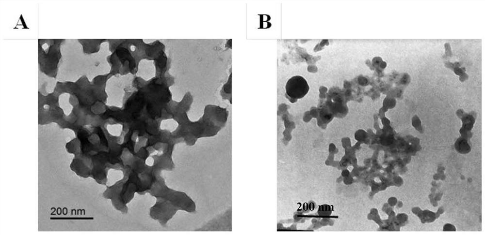 Tea polyphenol-metal nanoparticles, drug-loaded nanoparticles as well as preparation method and application of tea polyphenol-metal nanoparticles and drug-loaded nanoparticles