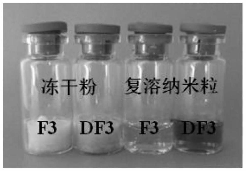 Tea polyphenol-metal nanoparticles, drug-loaded nanoparticles as well as preparation method and application of tea polyphenol-metal nanoparticles and drug-loaded nanoparticles