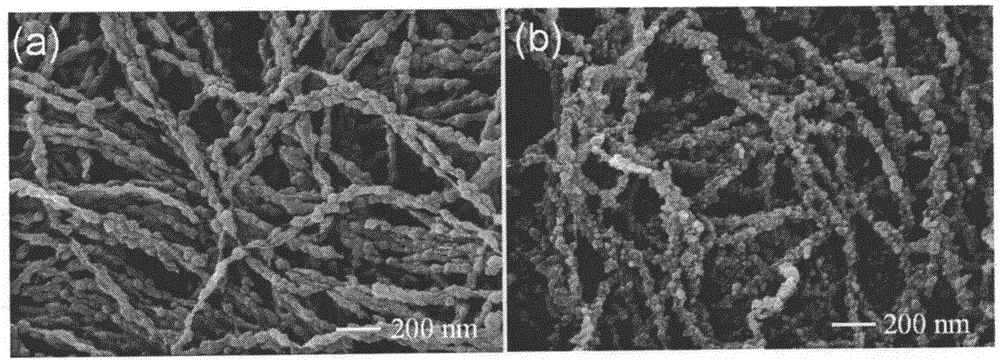 Cobalt-nickel sulfide/nitrogen-doped carbon nano-fiber composite material, preparation method and application thereof