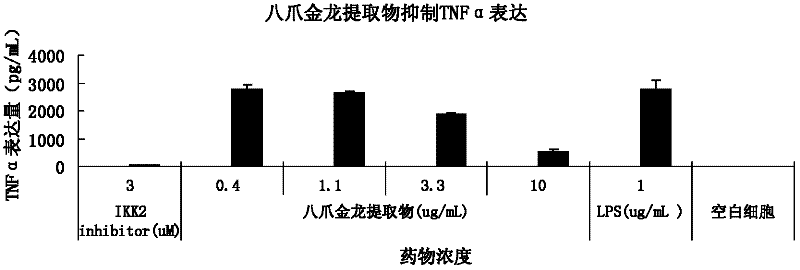 Ardisia crenata sims extract and medicinal application thereof