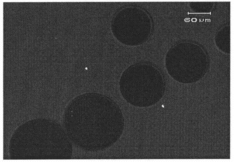 Method for preparing fluorine-containing electronic ink microcapsule